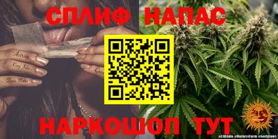 стаф Нальчик