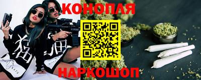 стаф Нальчик