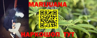 стаф Нальчик