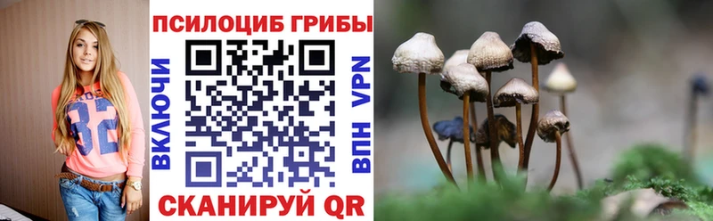 купить наркотики цена  Шали  Галлюциногенные грибы Cubensis 