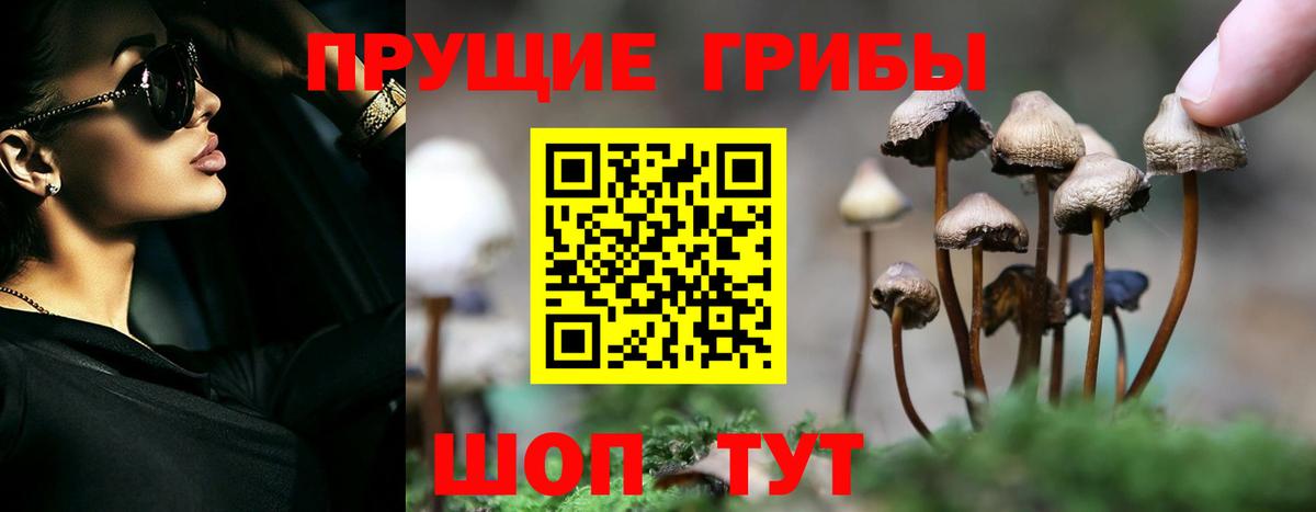 Галлюциногенные грибы Cubensis Шали