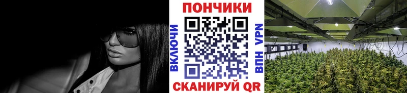 МАРИХУАНА семена  маркетплейс формула  Шали  ссылка на мегу как зайти 