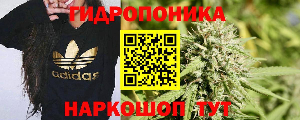Бошки Шишки VHQ  Вход с VPN  Шали  Канабис план 